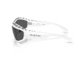 Swarovski Lunettes de Soleil SK 6009 102987