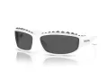 Swarovski Lunettes de Soleil SK 6009 102987
