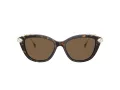 Swarovski Lunettes de Soleil SK 6010 100273