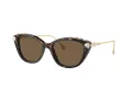 Swarovski Lunettes de Soleil SK 6010 100273