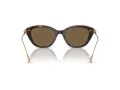 Swarovski Lunettes de Soleil SK 6010 100273
