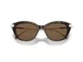 Swarovski Lunettes de Soleil SK 6010 100273