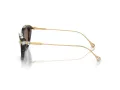 Swarovski Lunettes de Soleil SK 6010 100273