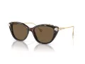 Swarovski Lunettes de Soleil SK 6010 100273