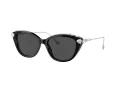 Swarovski Lunettes de Soleil SK 6010 103887