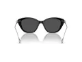 Swarovski Lunettes de Soleil SK 6010 103887