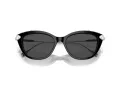 Swarovski Lunettes de Soleil SK 6010 103887