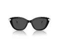 Swarovski Lunettes de Soleil SK 6010 103887