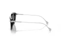 Swarovski Lunettes de Soleil SK 6010 103887
