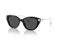Swarovski Lunettes de Soleil SK 6010 103887