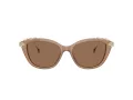 Swarovski Lunettes de Soleil SK 6010 2002OK