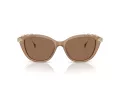 Swarovski Lunettes de Soleil SK 6010 2002OK