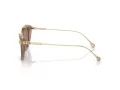Swarovski Lunettes de Soleil SK 6010 2002OK