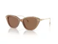 Swarovski Lunettes de Soleil SK 6010 2002OK