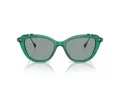 Swarovski Lunettes de Soleil SK 6010 2003/1