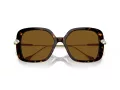 Swarovski Lunettes de Soleil SK 6011 100283