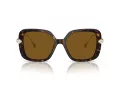 Swarovski Lunettes de Soleil SK 6011 100283