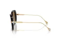 Swarovski Lunettes de Soleil SK 6011 100283