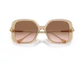 Swarovski Lunettes de Soleil SK 6011 103413