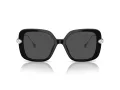 Swarovski Lunettes de Soleil SK 6011 103887