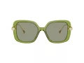 Swarovski Lunettes de Soleil SK 6011 3002/2