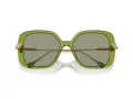 Swarovski Lunettes de Soleil SK 6011 3002/2