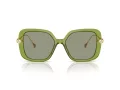 Swarovski Lunettes de Soleil SK 6011 3002/2