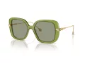 Swarovski Lunettes de Soleil SK 6011 3002/2