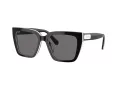 Swarovski Lunettes de Soleil SK 6013 101581