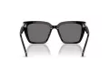 Swarovski Lunettes de Soleil SK 6013 101581