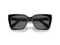 Swarovski Lunettes de Soleil SK 6013 101581