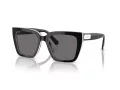 Swarovski Lunettes de Soleil SK 6013 101581