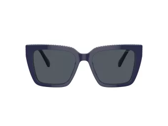 Swarovski Lunettes de Soleil SK 6013 101887