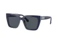 Swarovski Lunettes de Soleil SK 6013 101887