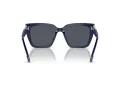 Swarovski Lunettes de Soleil SK 6013 101887