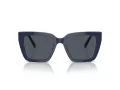 Swarovski Lunettes de Soleil SK 6013 101887