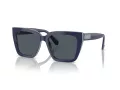 Swarovski Lunettes de Soleil SK 6013 101887