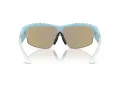Swarovski Lunettes de Soleil SK 6014 103655