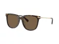 Swarovski Lunettes de Soleil SK 6015D 100273