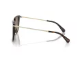 Swarovski Lunettes de Soleil SK 6015D 100273
