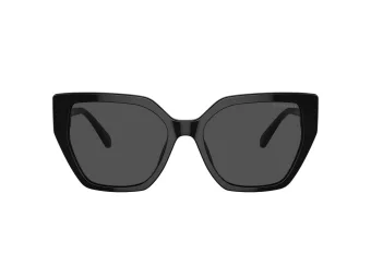 Swarovski Lunettes de Soleil SK 6016 100187
