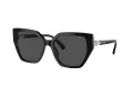 Swarovski Lunettes de Soleil SK 6016 100187