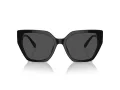 Swarovski Lunettes de Soleil SK 6016 100187