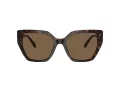 Swarovski Lunettes de Soleil SK 6016 100273