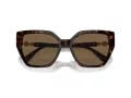 Swarovski Lunettes de Soleil SK 6016 100273