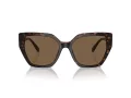 Swarovski Lunettes de Soleil SK 6016 100273