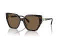 Swarovski Lunettes de Soleil SK 6016 100273