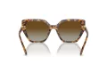 Swarovski Lunettes de Soleil SK 6016 1004T5