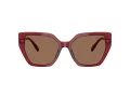 Swarovski Lunettes de Soleil SK 6016 105573