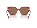 Swarovski Lunettes de Soleil SK 6016 105573